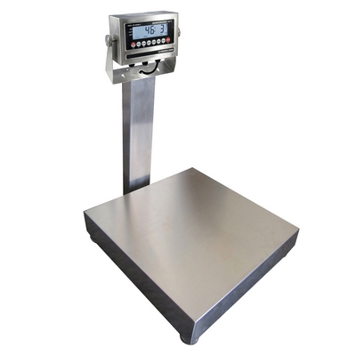 Stainless Steel Bench Scale 24 In. x 24 In. Platform 500 Lb. Capacity