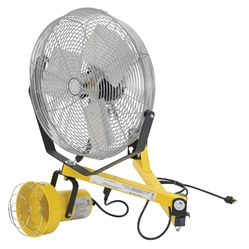 Steel Incandescent Double Arm Strut with Fan 40 In. Length